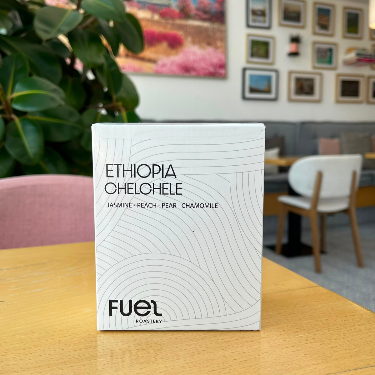 Ethiopia - Drip Bag